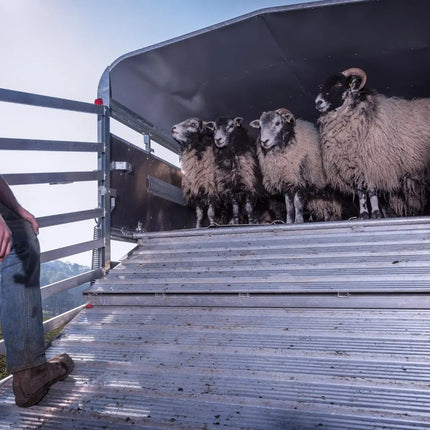 Indespension Triple Axle 14' x 6' x 6'H Livestock Trailer