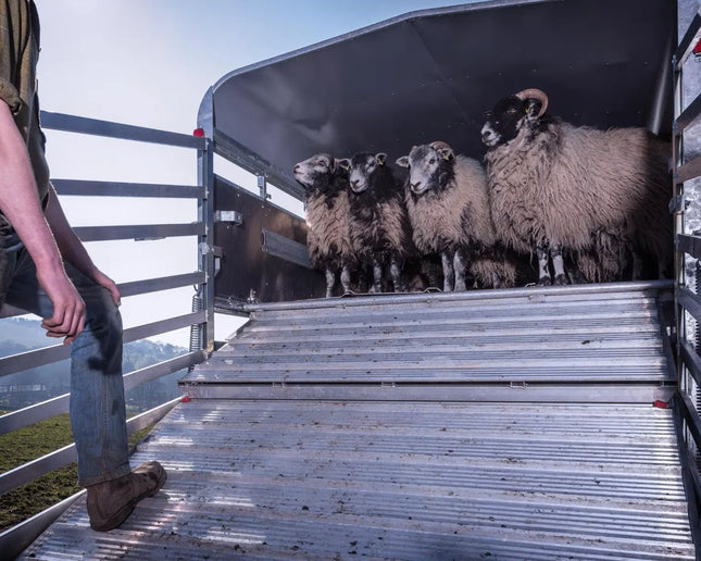 Indespension Triple Axle 14' x 6' x 6'H Livestock Trailer