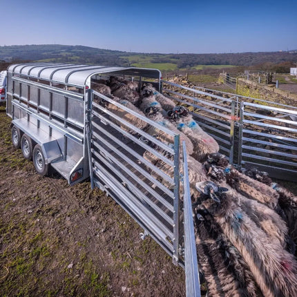 Indespension Triple Axle 14' x 6' x 6'H Livestock Trailer