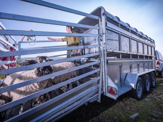 Indespension Triple Axle 14' x 6' x 6'H Livestock Trailer