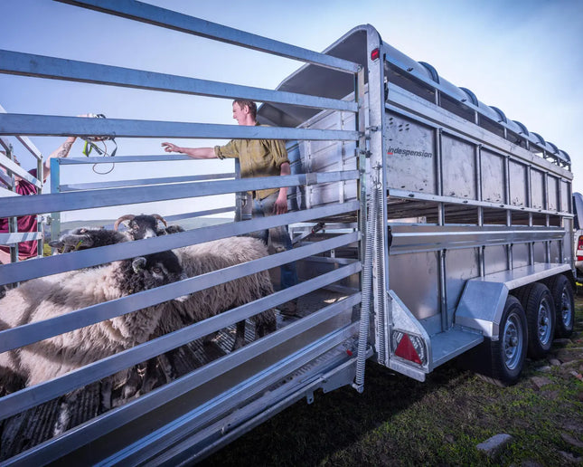 Indespension Triple Axle 14' x 6' x 6'H Livestock Trailer